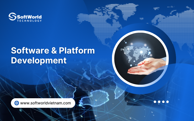software platform development